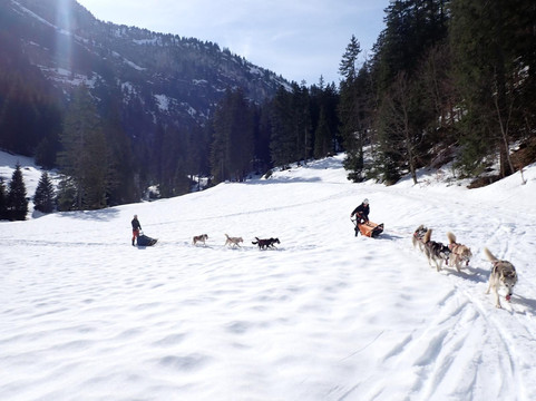 Fischer Adventures Day Tours-圣加仑必去景点