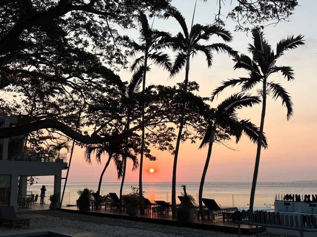 寂静相思度假村主图