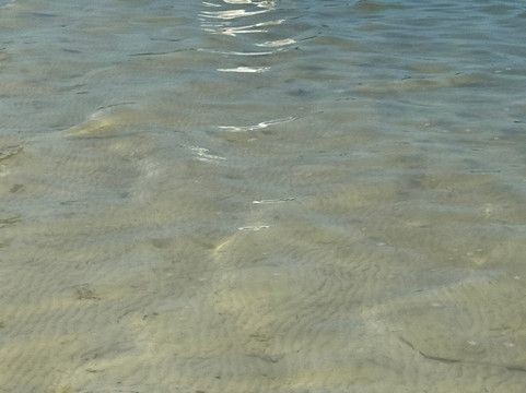 Isla Holbox-Holbox Island必去景点