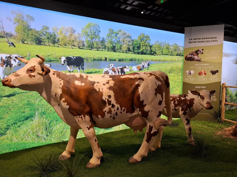 Caramels d'Isigny-Isigny-sur-Mer必去景点