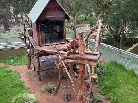 Ballarat Wildlife Park-巴拉瑞特必去景点