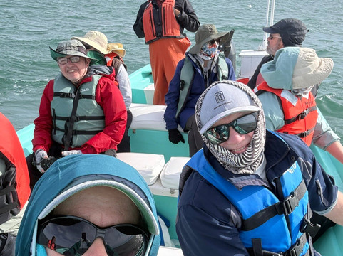 Baja Ecotours-San Ignacio必去景点