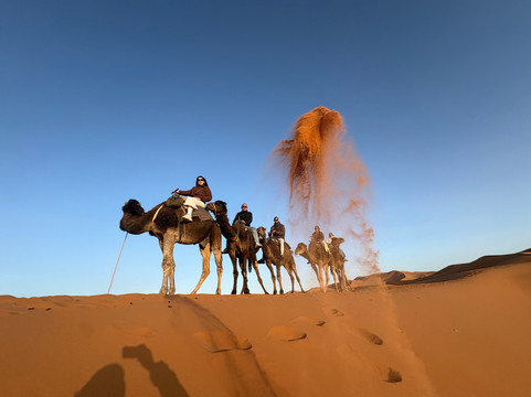 Explore Marrakech Trips-马拉喀什必去景点