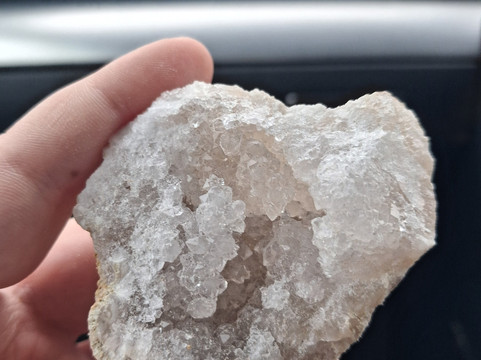 Fossils Galore Museum-March必去景点