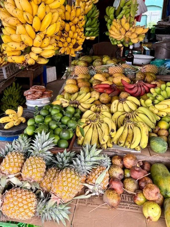 Dizha Lanka Travel  - Sri Lanka Tour-Ganemulla必去景点