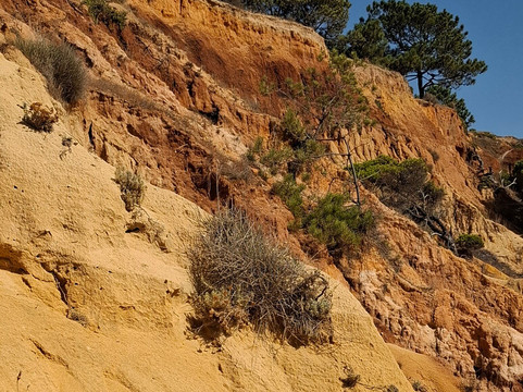 Cliff Boardwalk and Pathway-Olhos de Agua必去景点