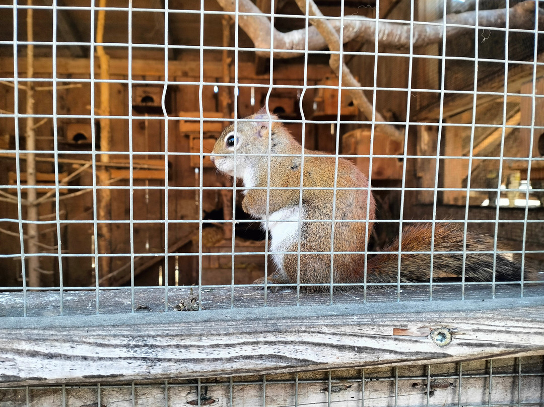 Fattoria Rainguthof-Tesimo必去景点