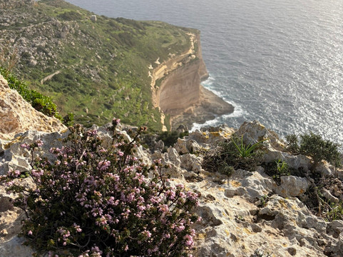 Dingli Cliffs-Dingli必去景点