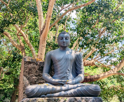 Sri Lankan Personal Drivers-科伦坡必去景点