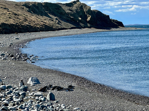 Isla Magdalena-蓬塔阿雷纳斯必去景点