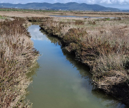 Riserva Naturale Diaccia Botrona-佩斯卡亚堡必去景点