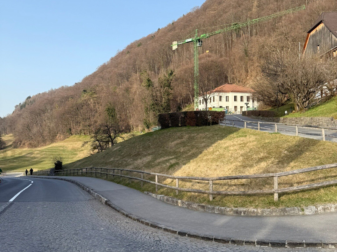 Vaduz Castle-瓦杜兹必去景点