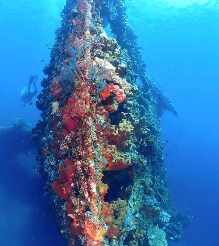 巴厘岛自由潜水度假村主图