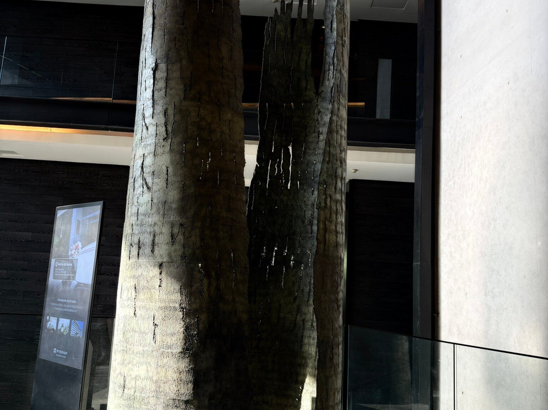 圣地亚哥佩特拉温德姆酒店主图