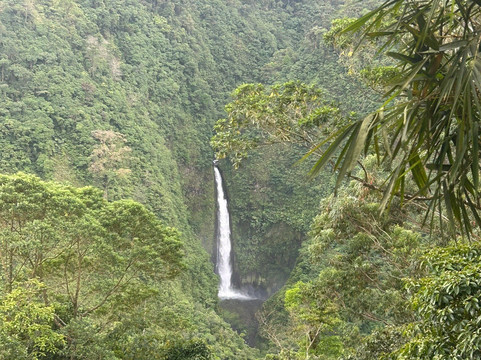 Arenal Cautiva-El Castillo必去景点