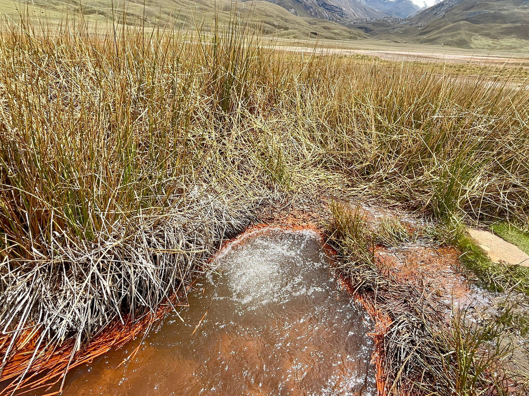 Nevado Pastoruri-瓦拉斯必去景点