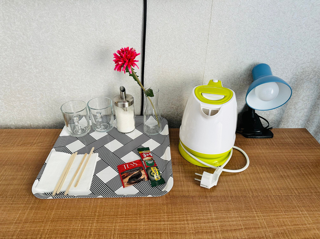伊莱克特露斯塔尔斯卡娅酒店主图