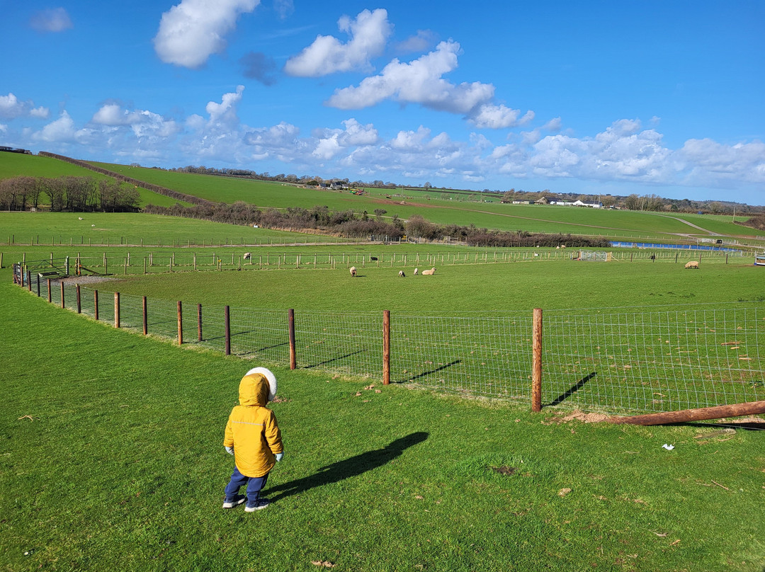 Foel Farm Park-Brynsiencyn必去景点