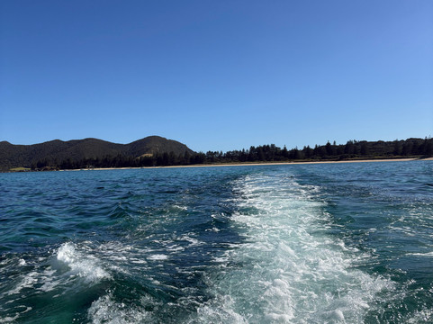 Lord Howe Environmental Tours-豪勋爵群岛必去景点