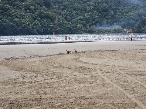 Praia Bertioga-Bertioga必去景点