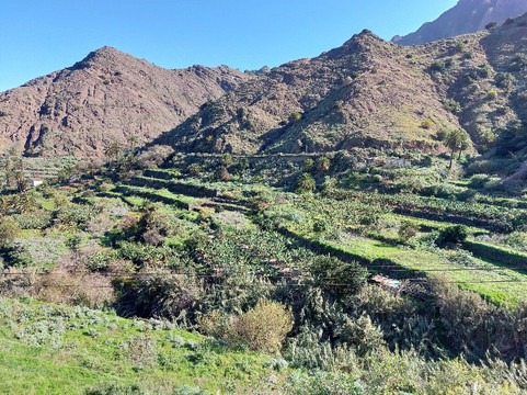 加拉霍埃国家公园-La Gomera必去景点