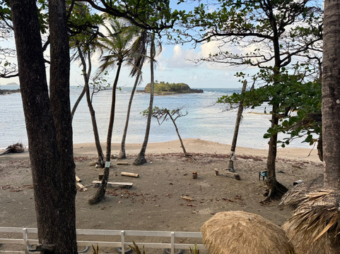 天空和蜂蜜主图