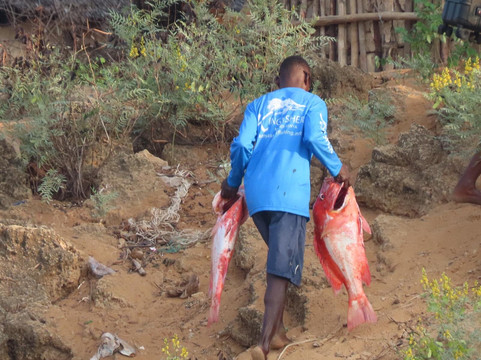 Lady Lamu Dhow-拉穆岛必去景点