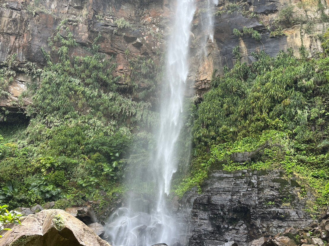 Iriomote Island Kayaks Kazaguruma-竹富町西表岛必去景点