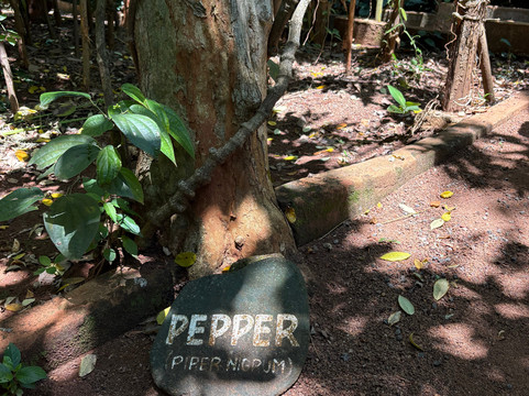 Sirilak Spice & Herbal Garden-Matale必去景点