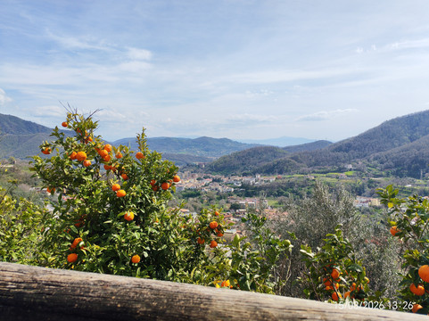 Coperchia酒店住宿-Agriturismo A Casa Di Anna braceria Carlo E Alessandro