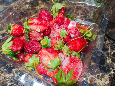 Healthy Strawberry Farm-丹那拉塔必去景点