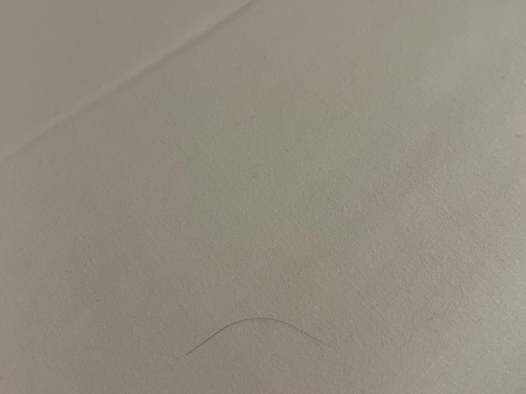 莱昂纳多酒店-埃斯林根主图