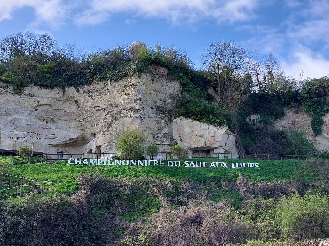 Saut Aux Loups - Museum-Montsoreau必去景点