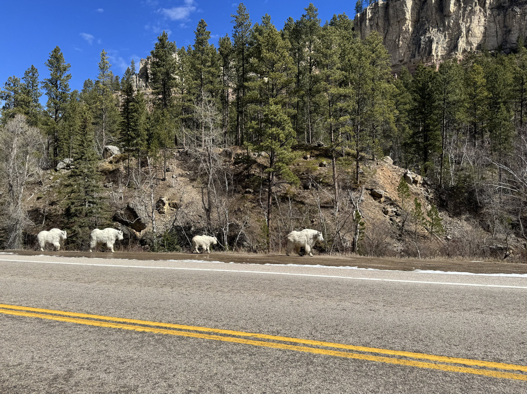 Spearfish Canyon Scenic Byway-Spearfish必去景点