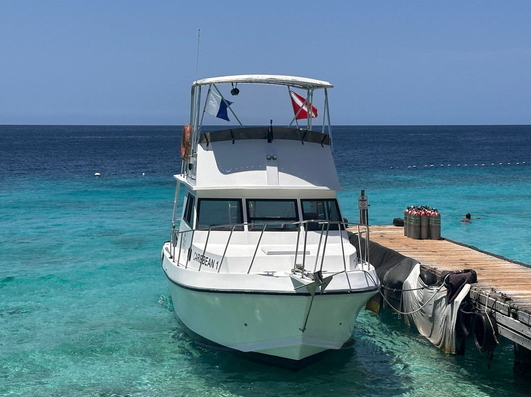 GO WEST Diving-Sabana Westpunt必去景点