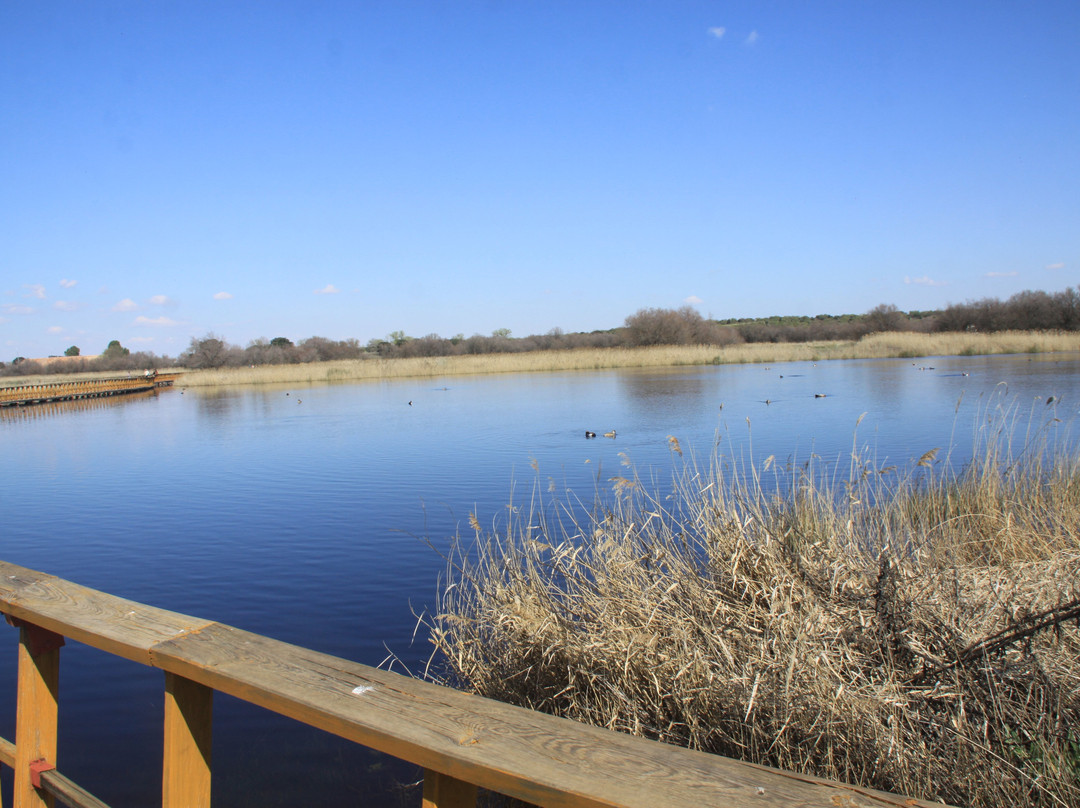 Parque Nacional de las Tablas de Daimiel-Daimiel必去景点