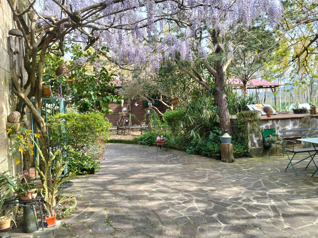 Ospitalita Rurale il Bambù主图