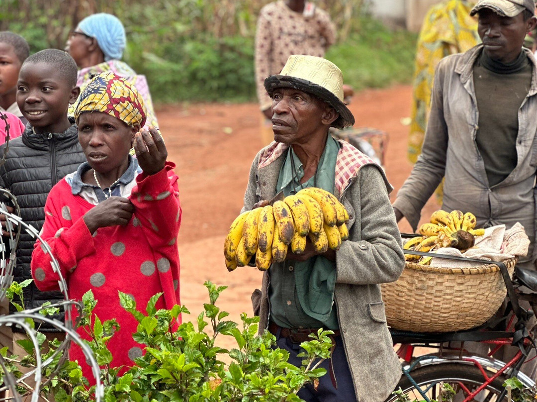Taffies Safaris-坎帕拉必去景点
