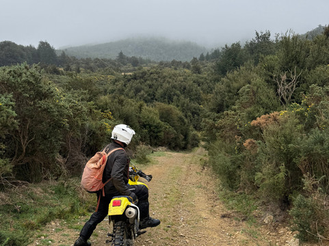 Adventure Trail Rides-基督城必去景点
