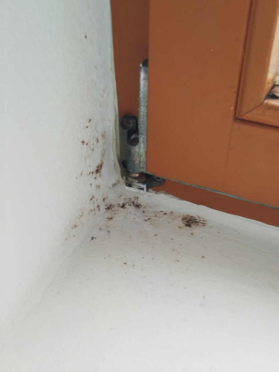 潘森匹克贝罗酒店-官方