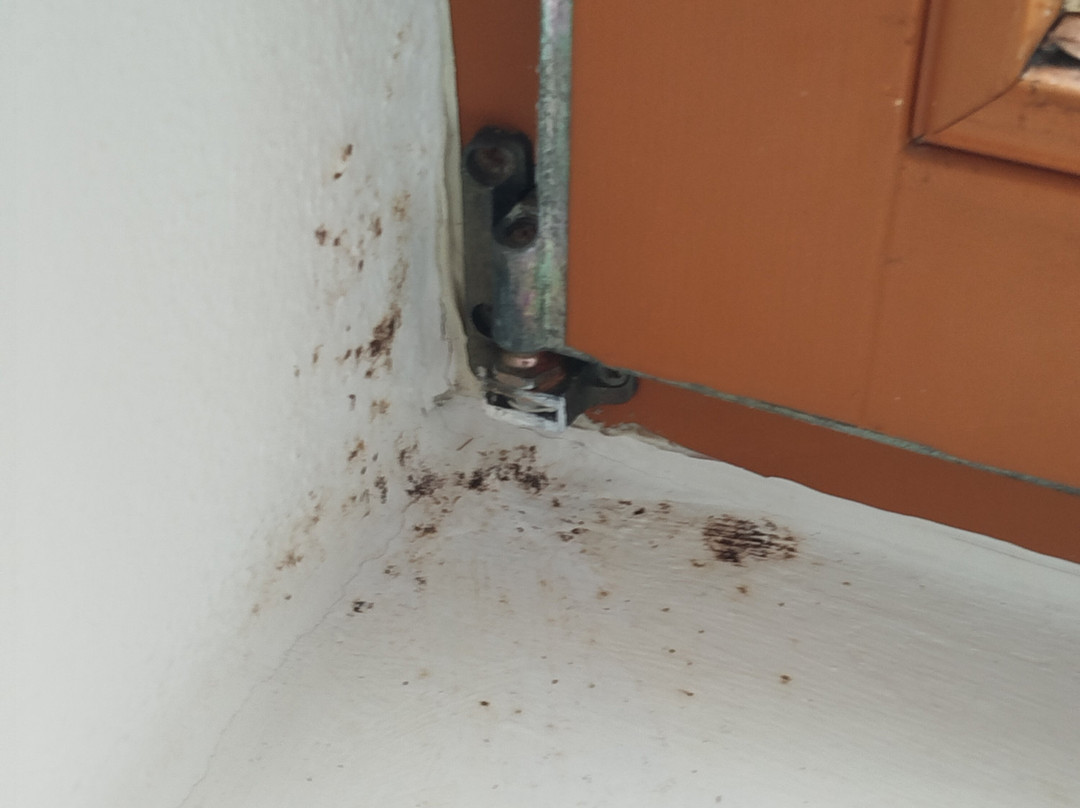 潘森匹克贝罗酒店主图