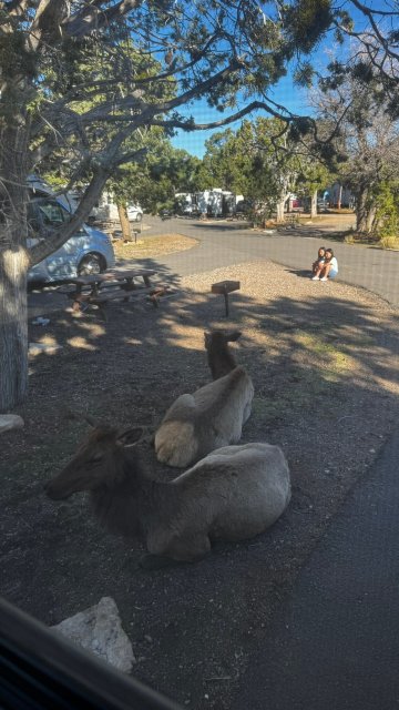 Trailer Village RV Park-官方