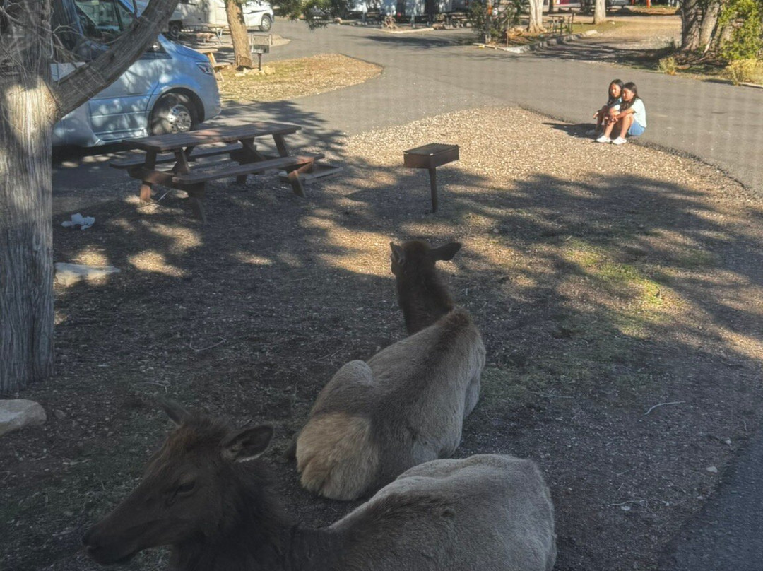 Trailer Village RV Park主图