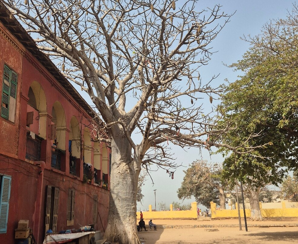 Island of Gorée-达喀尔必去景点