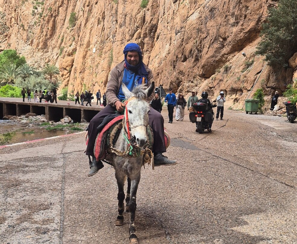 Morocco Tours Adventure-马拉喀什必去景点