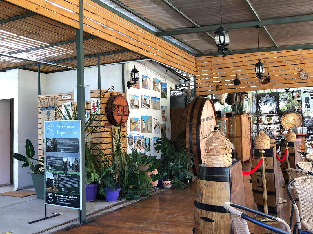 Elki Magic-Vicuna必去景点