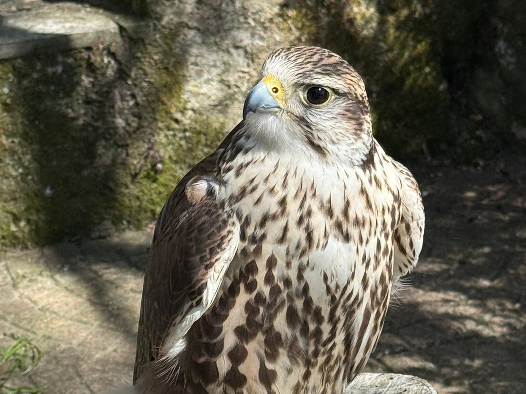 Terra Incantata-Casalzuigno必去景点