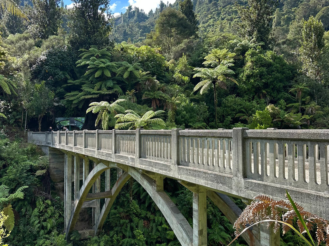 Whanganui River Adventures-Pipiriki必去景点