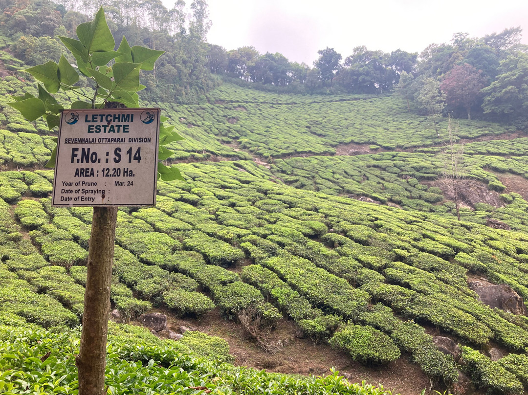 Rose Gardens Tours and Travels-慕那尔必去景点