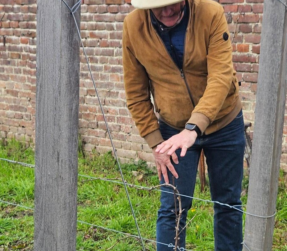 Wijnsafari in Haspengouw (Borgloon)-Borgloon必去景点